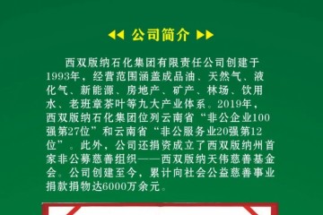 月薪7000元起西双版纳石化集团2020年春季招聘布告