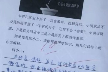 淘宝体作业横空出世教师看完无力辩驳网友笑出了腹肌