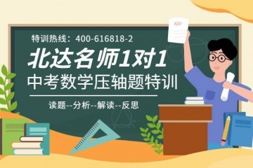 名师引荐2020年北京中考必刷数学压轴题人大附必刷题（Word版含解析）