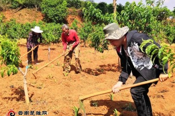 伸援手献爱心圆贫穷学子大学梦