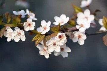 初三生警觉中考考得差的学生都是由于这些过错……